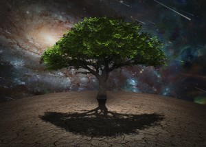 Tree of Life